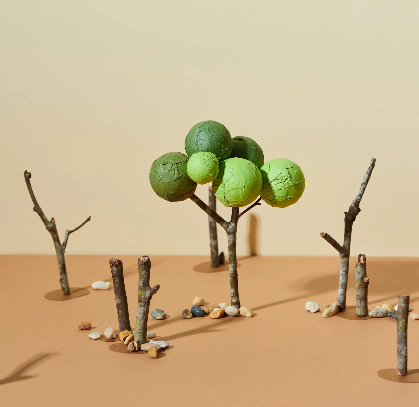 Digital Edge eco-minded